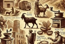 The History of Coffee: From Discovery to Global Phenomenon