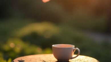 Best Coffee Blends for Relaxation