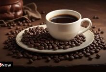 The Most Expensive Coffees You Can Try Today