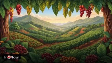 What Makes Coffee Beans From Different Regions Unique?