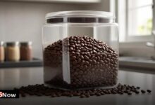 How to Store Coffee Beans for Maximum Freshness
